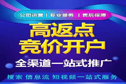 某电商平台的SEM策略与效果展示